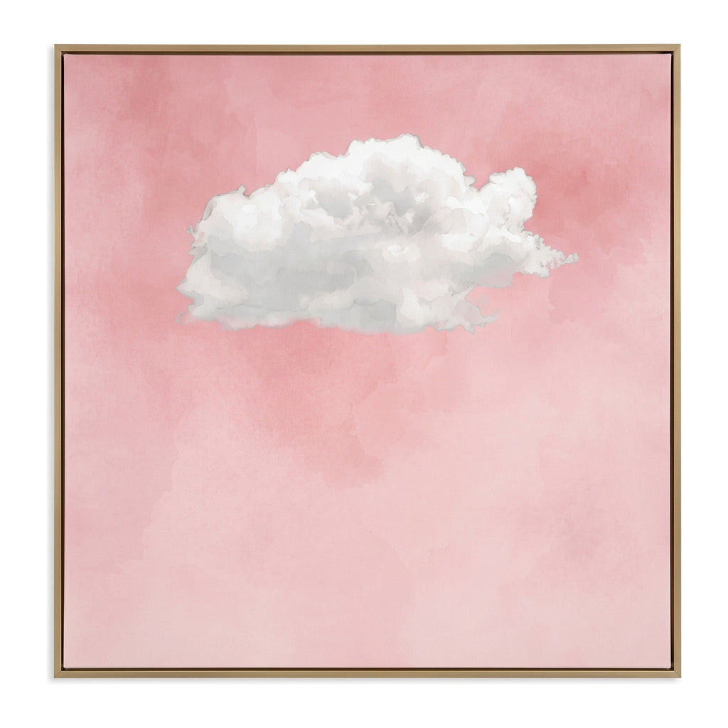 Cloud on Rose