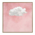 Cloud on Rose